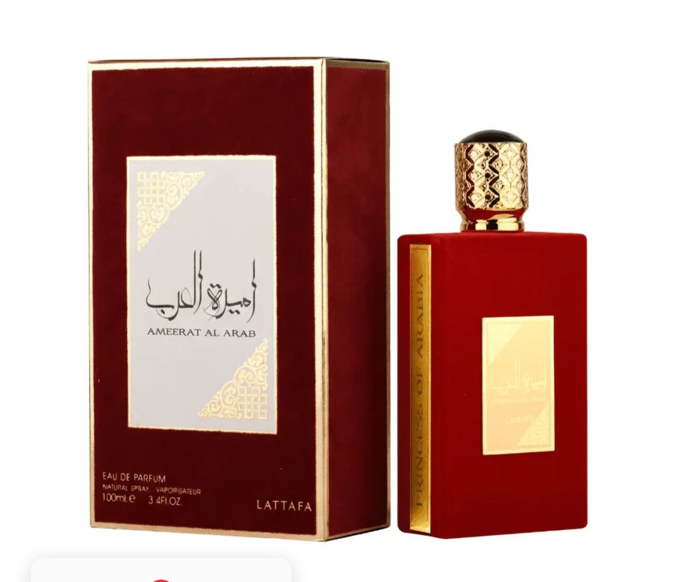 WhatsApp Image 2026-02-10 at 2.00.36 PM AMEERAT AL ARAB - Image 1